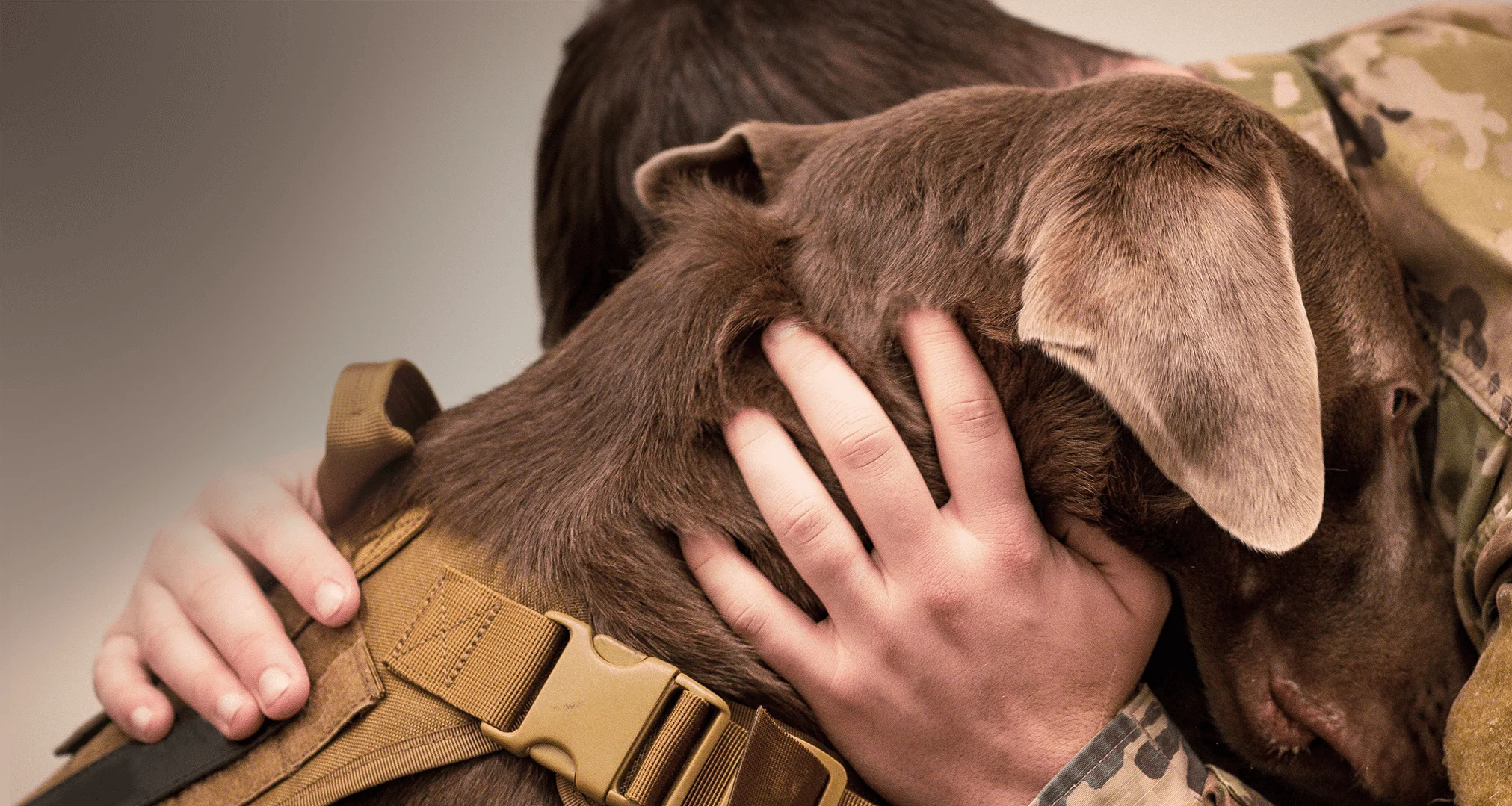 Empower Your Service Animal's Journey